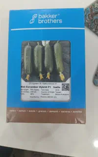 بذر خیار مینی بیکر