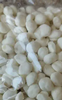 نقل تازه