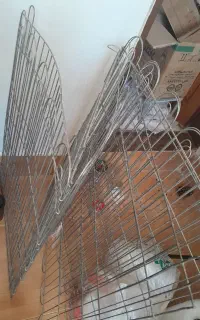 پارک حیوانات خانگی