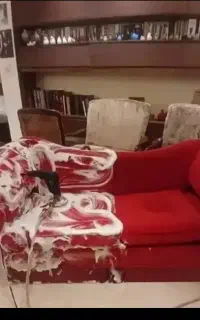قالیشوی ومبلشوی گلچین