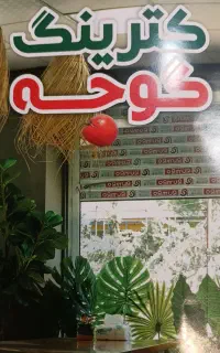 استخدام سالنکار