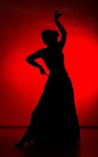 آکادمی و باشگاه نازی