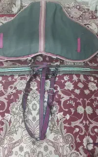 زین راحتی اسب با کیفیت بالا