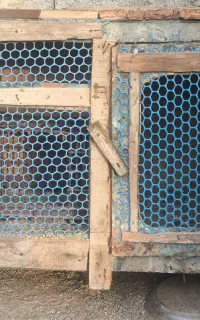 کفتر