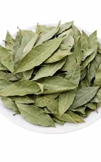 رزماری و استخودوس و مریم گلی و بهار مرکبات