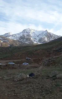 جویای کار