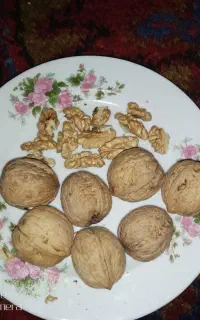 گردوعنصرود