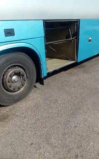گمشده