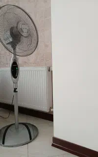 پنکه