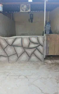 پانسیون اسب