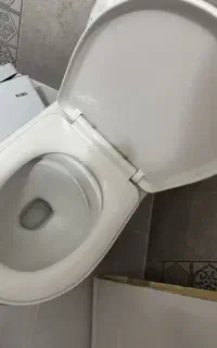 توالت فرنگی