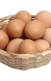 تخم مرغ خانگی