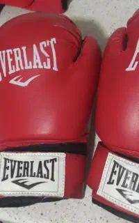 دستکش وشو و بوکس EVERLAST