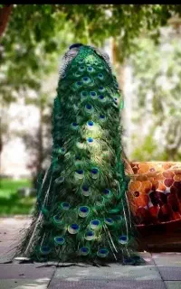 کتاب دعا نویسی سرکتاب