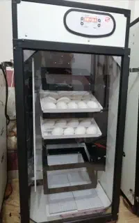 جوجه کشی 210 تایی آژاکس