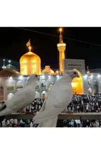کاروان زیارتی مشهد مقدس در تاریخ 25مرداد