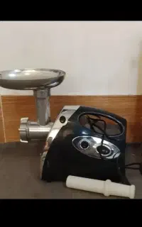 چرخ گوشت گاسونیک
