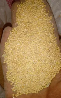 ارزن