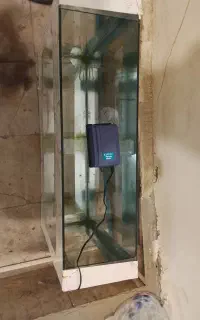 آکواریوم فروشی
