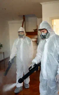 سمپاشی نوین با سموم نسل جدیدوتضمینی