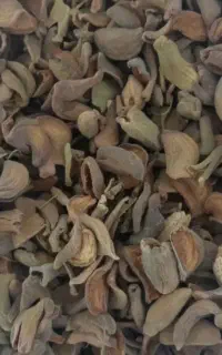 پوست بادام
