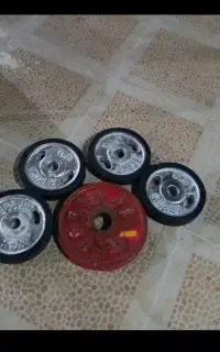 فروش صفحه بدنسازی و هالتر