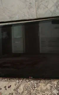 تلوزیون