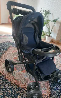 کالسکه دلیجان