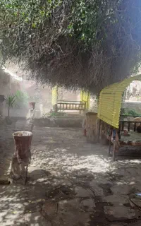 وسایل کافه رستوران