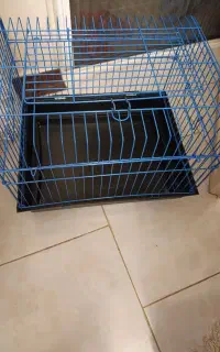 قفس نونو