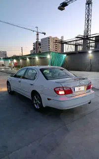 ماکسیما ۱۳۹۱ استنثنایی
