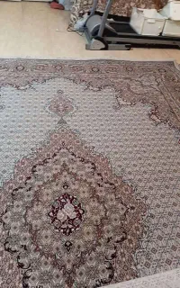 ۲ عدد فرش ۱۲ متری پاتریس( یک جفت)