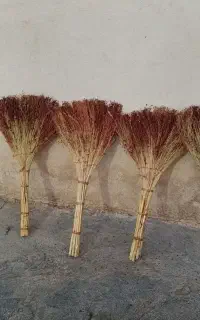 جارو دستی. با گردو