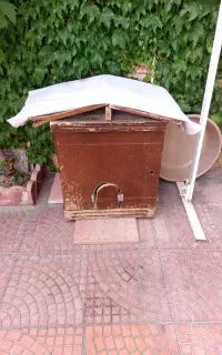 کلبه چوبی سگ و گربه و مرغ و خروس