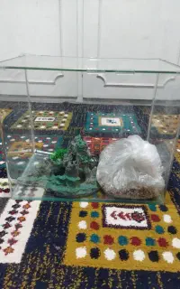 آکواریوم شرکتی شیشه خم