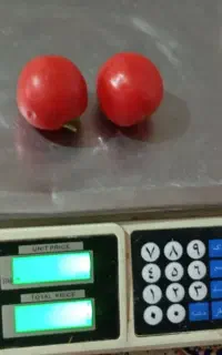 ترازوی دیجیتال