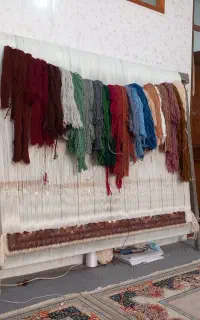 دار گالی اماده بافتن