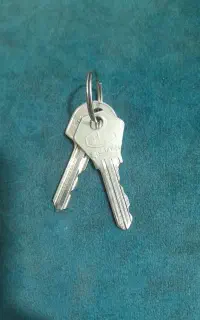 کلید پیدا شده