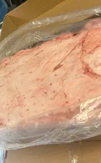 چربی و شهله گوساله