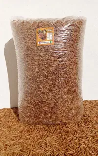 میلورم خشک زنده