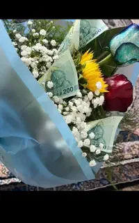 پول کلکسیونی میخام  تراویل