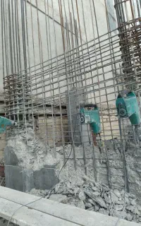 تخریب باپیکور