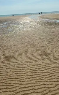 نیازمند منشی