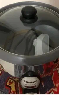 یک عدد پلوپز