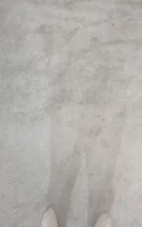 پالاز موکت درحدنو ۴۵متر شسته شده  رنگ طوسی روشن