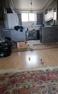 به یه خانم جوان جهت کار خانه نیازمندیم