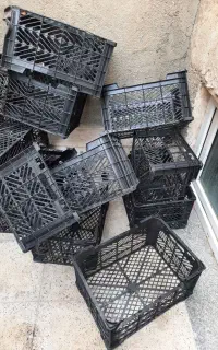 سبد