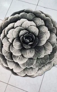 پادری و فرش گرد 1در1