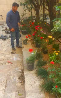باغبانی وسمپاشی در تهران