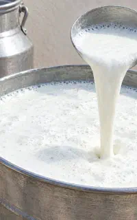 دوغ نهره اعلا